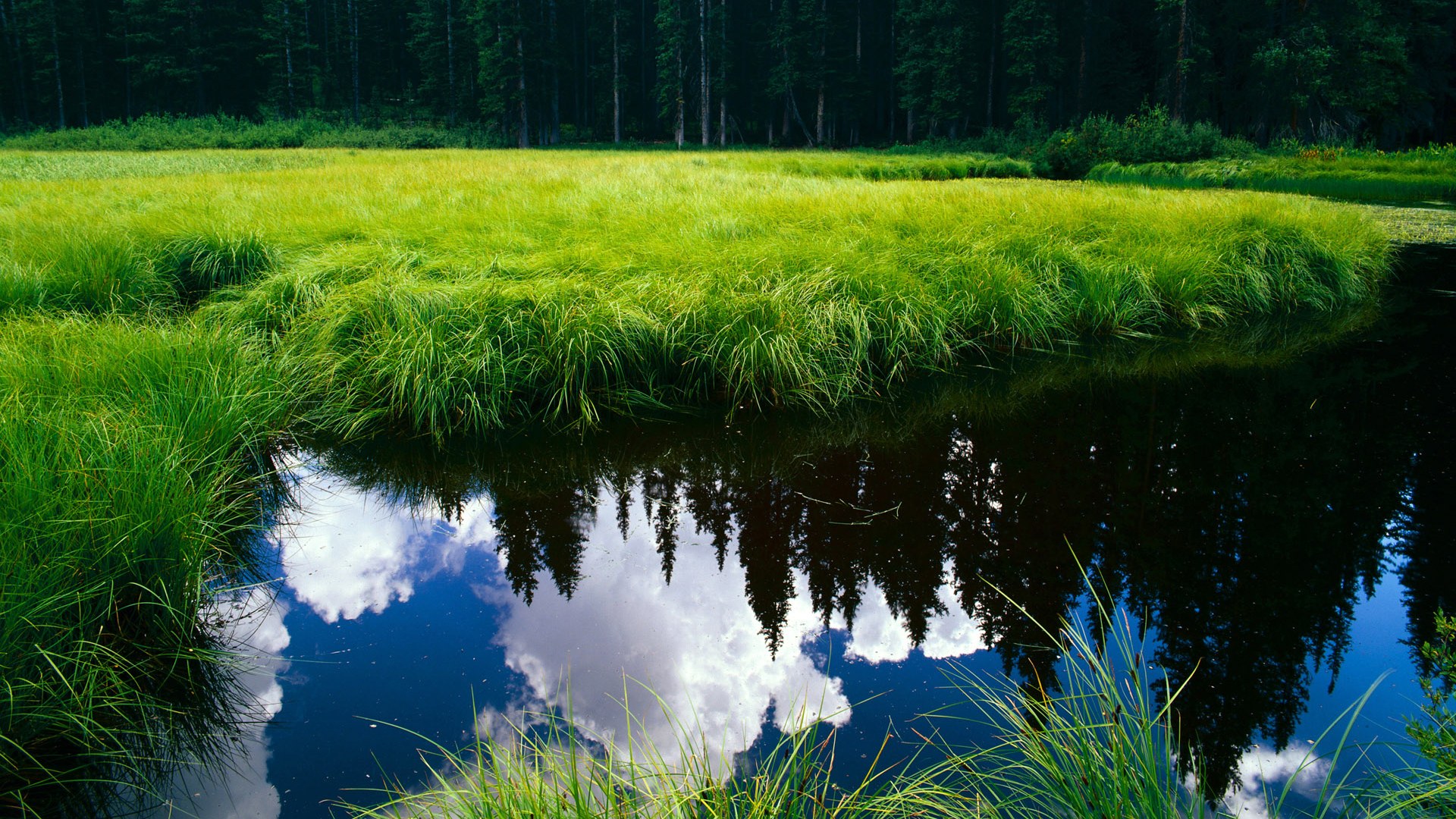 伊斯坦布尔的沸腾雪夜，奥亚尔萨瓦尔三记耳光扇醒欧洲足球旧秩序