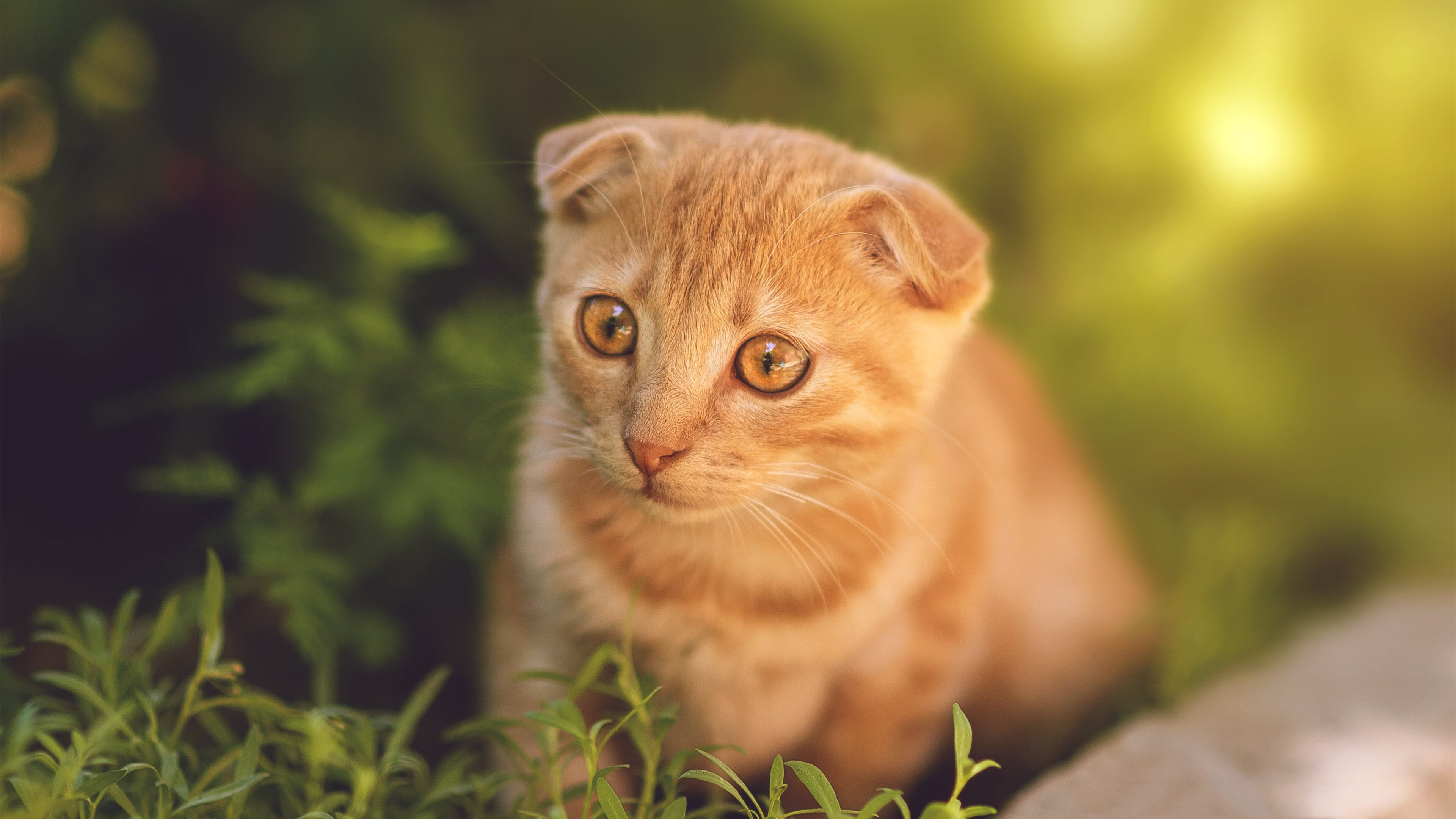 冰川的火焰,当北欧神话在圣西罗吞噬红黑军团