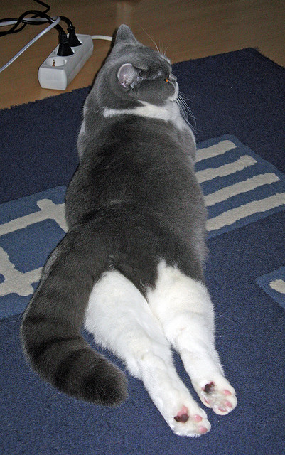 当翻盘的剧本被改写，当统治的定义被重塑，竞技场上唯一的真理