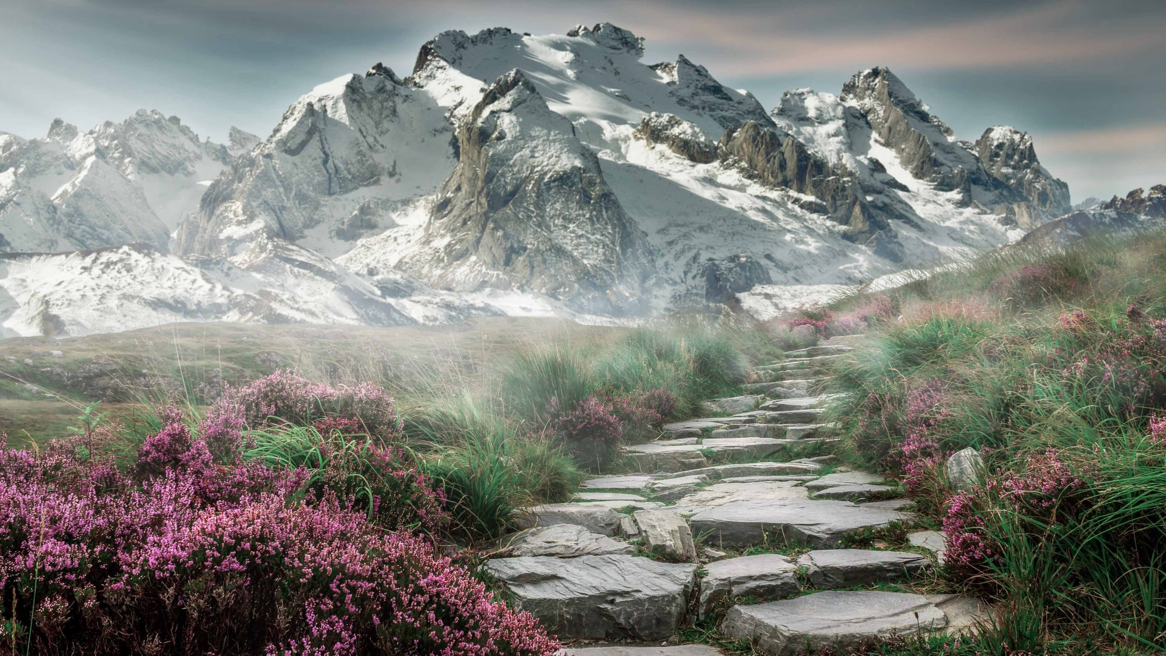 唯一性的光芒，法国爆冷智利与梅西进攻端的无敌传奇