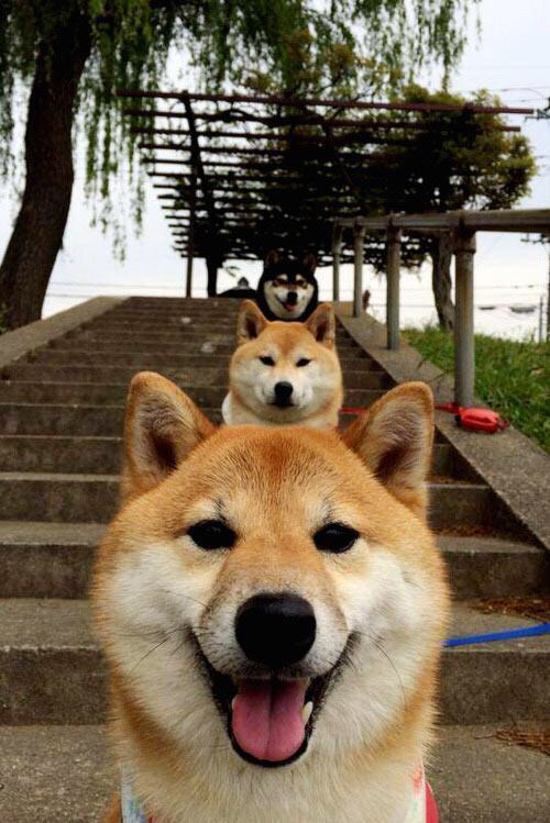 平凡英雄之夜，范弗利特东决关键战的沉默绽放