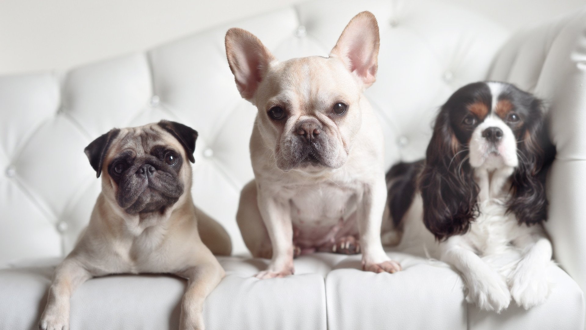 火与冰,快船踏平火箭之夜,哈利伯顿的关键冷静