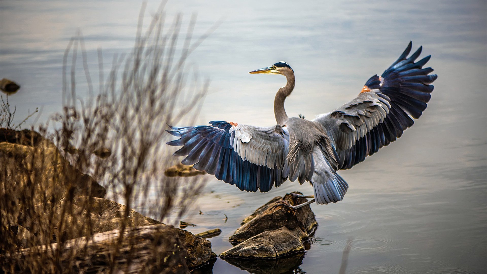 量子篮球，当爵士在平行宇宙压制山西，伦纳德的跨纬度带队艺术