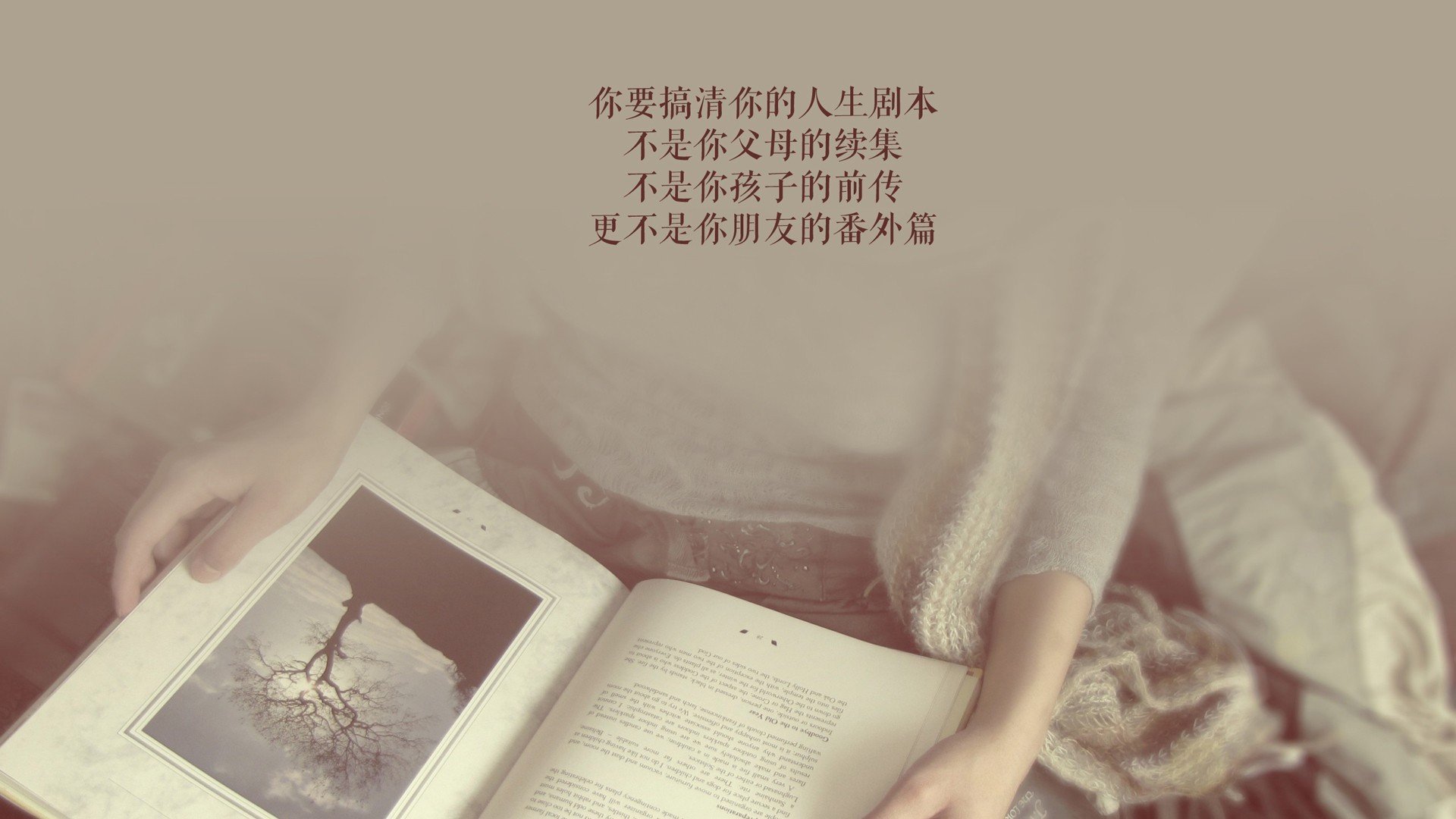 爱游戏在线-独步天下，2026世界杯C组生死战，匈牙利碾压喀麦隆，卢卡库王者归来闪耀全场