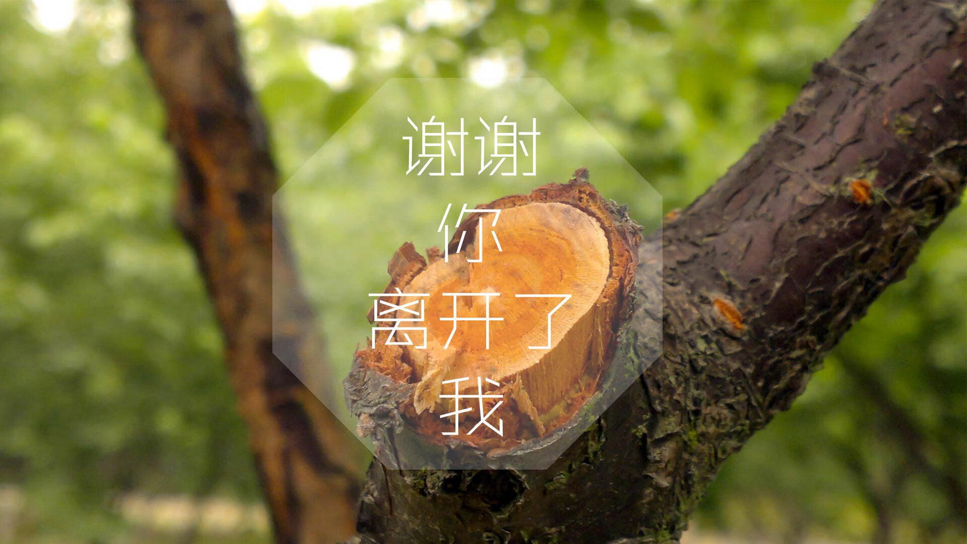 蓝白风暴下的红与黄，2026世界杯A组，格列兹曼用艺术足球书写唯一剧本