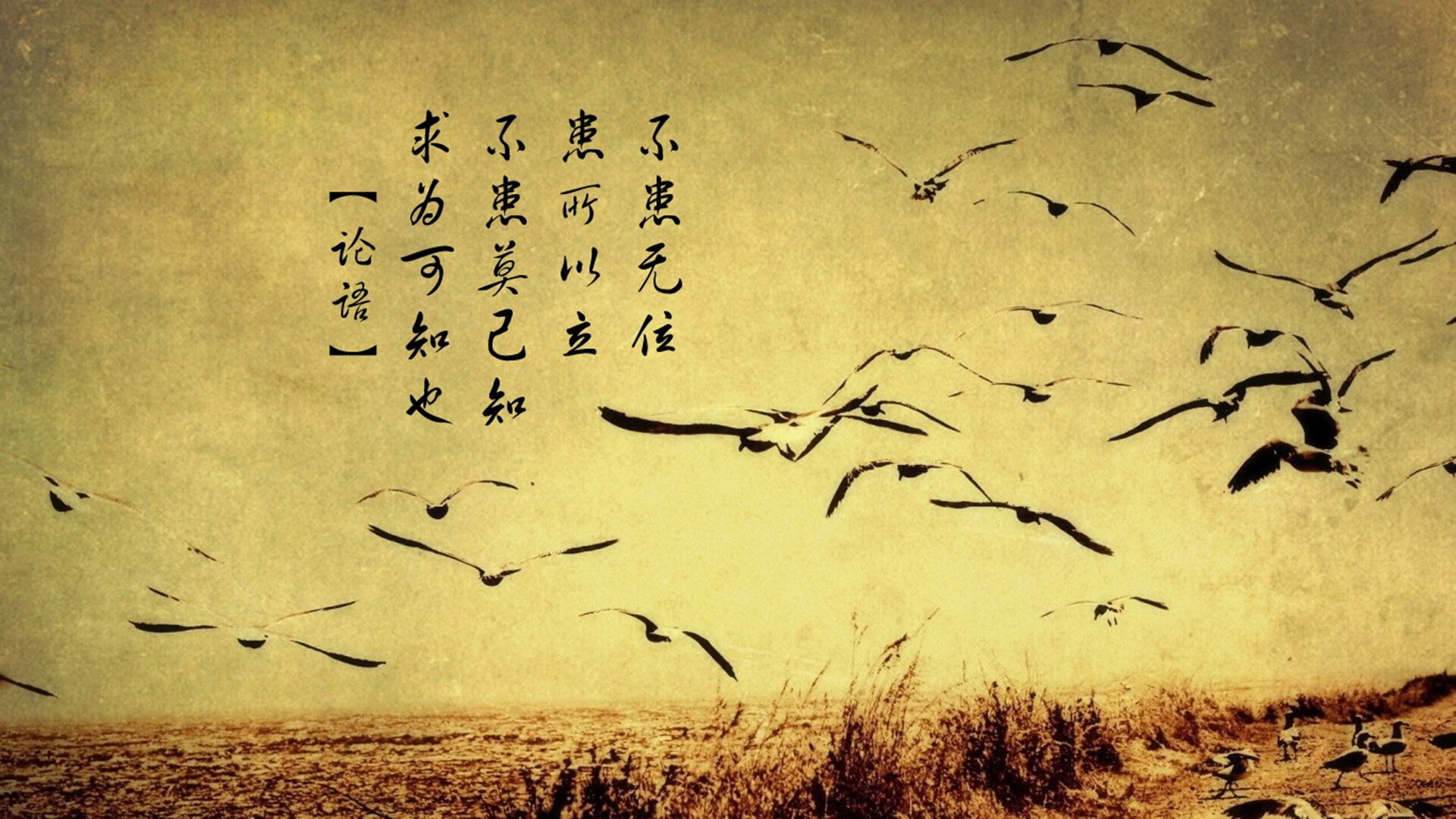 冷与热的终极碰撞,2026世界杯半决赛,哥斯达黎加复仇加纳,内马尔点燃北美夜空